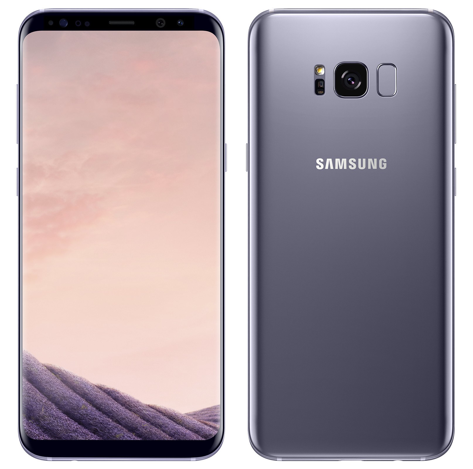 Galaxy S8 Plus - 64 Go - Orchidée · Reconditionné